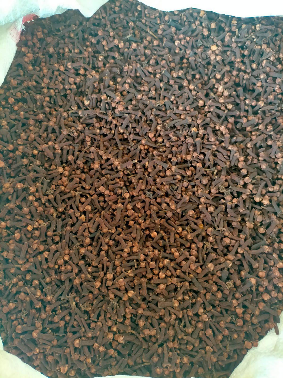 Indonesian cloves being sun-dried on large mats to preserve aroma and ensure export quality