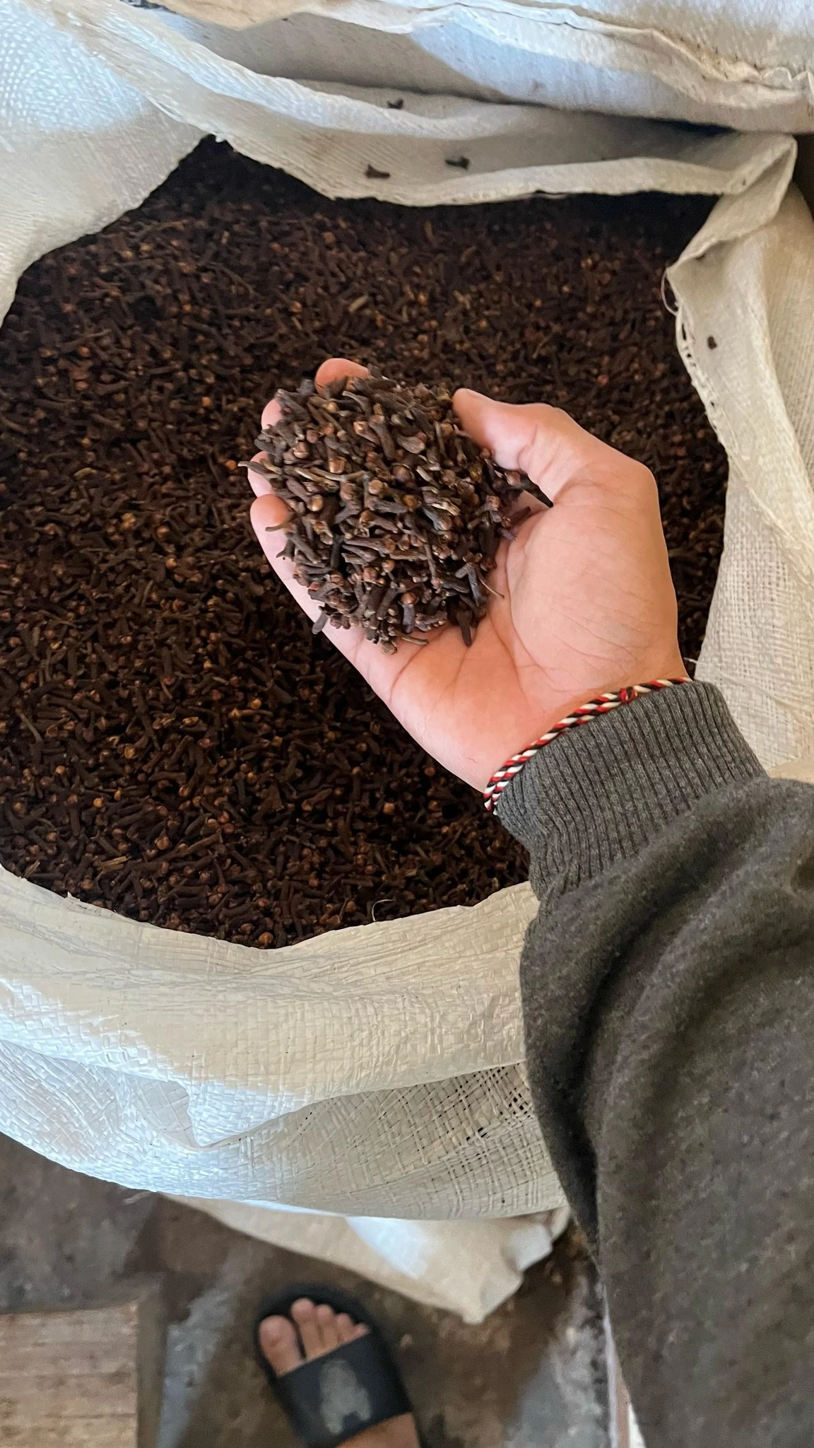 Organic Indonesian cloves - Handpicked for export to Europe and Middle East