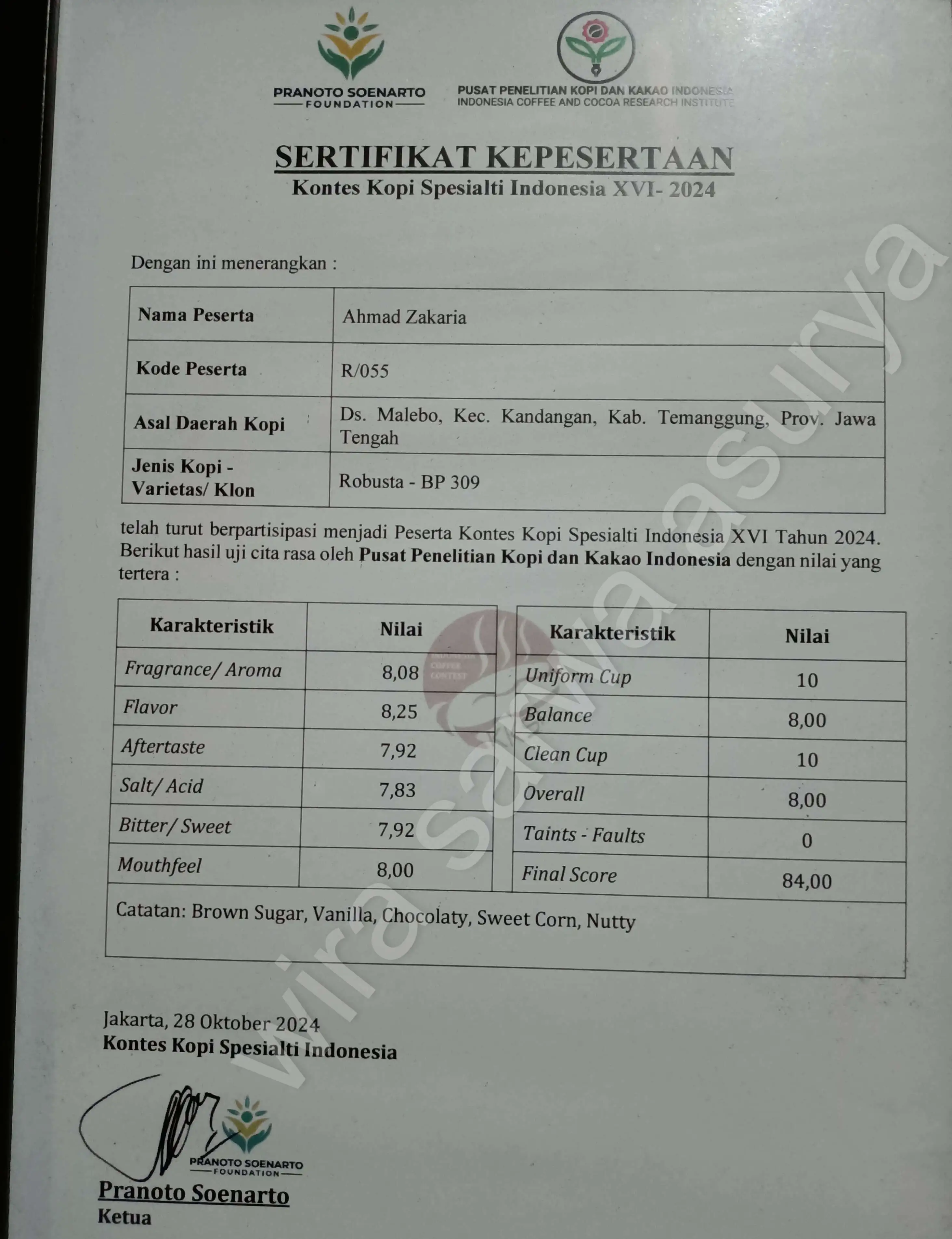 Robusta Coffee Quality Control and Cupping at Wira Sarwa Asurya