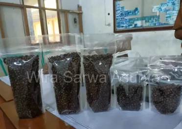 Dark roast Arabica coffee beans from Java - glossy black surface with intense smoky aroma, perfect for strong espresso