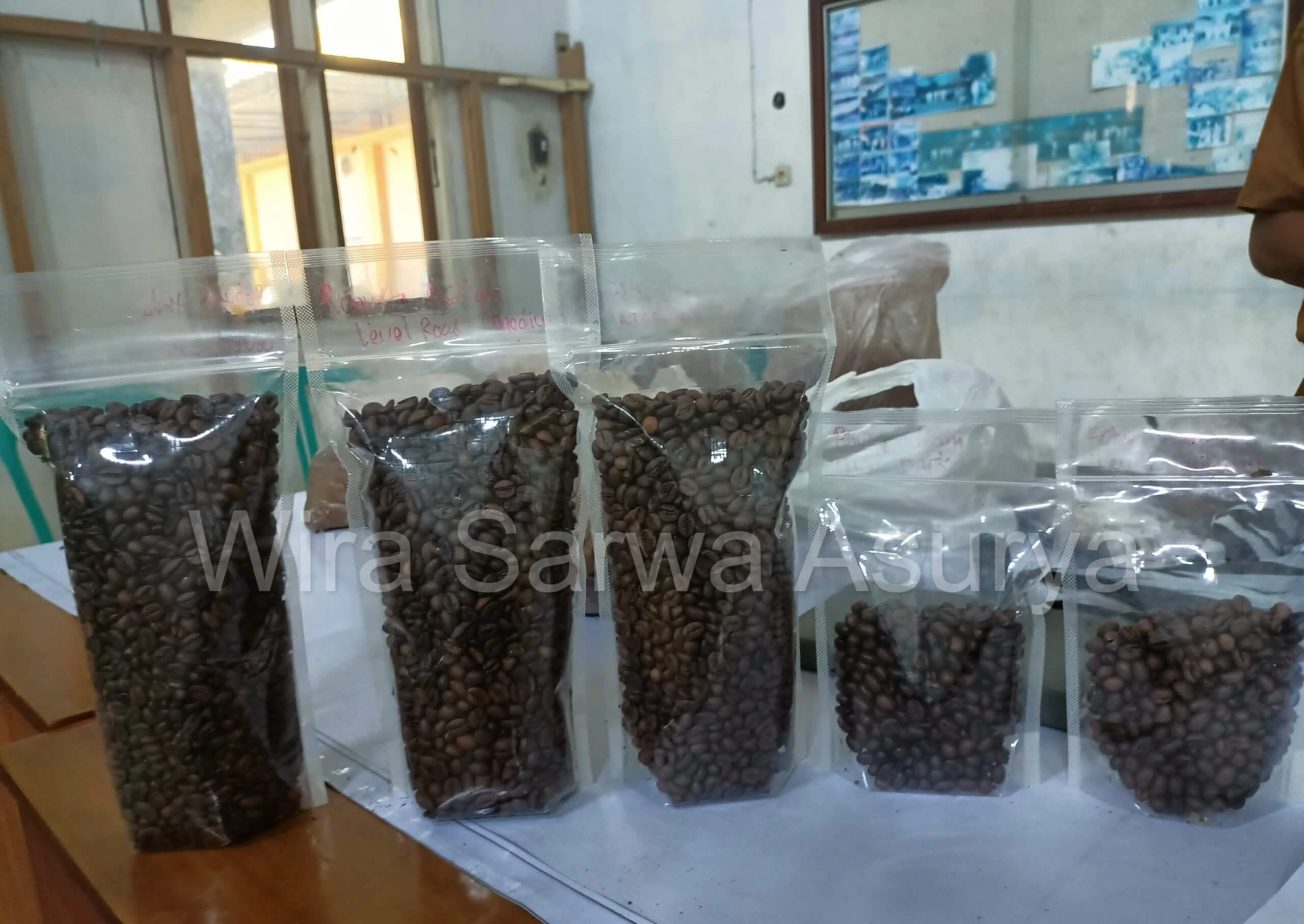 Roasted Robusta coffee beans from Temanggung, Indonesia – dark brown with rich earthy aroma and bold flavor