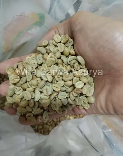 Carefully selected Indonesian Robusta green beans featuring yellow-green tones and a balanced aroma of Clean chocolaty, brown sugar, sweet corn, vanilla, mild nutty finish 