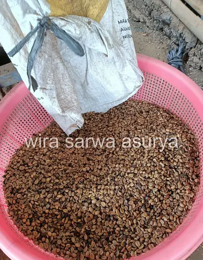 Hulling natural process Arabica coffee from Temanggung, Java, Indonesia — dried coffee cherries being mechanically hulled to reveal clean green beans before grading.
