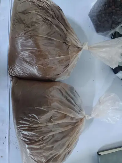 Preparation for sending roasted coffee to the store — showcasing quality control and export packaging readiness.