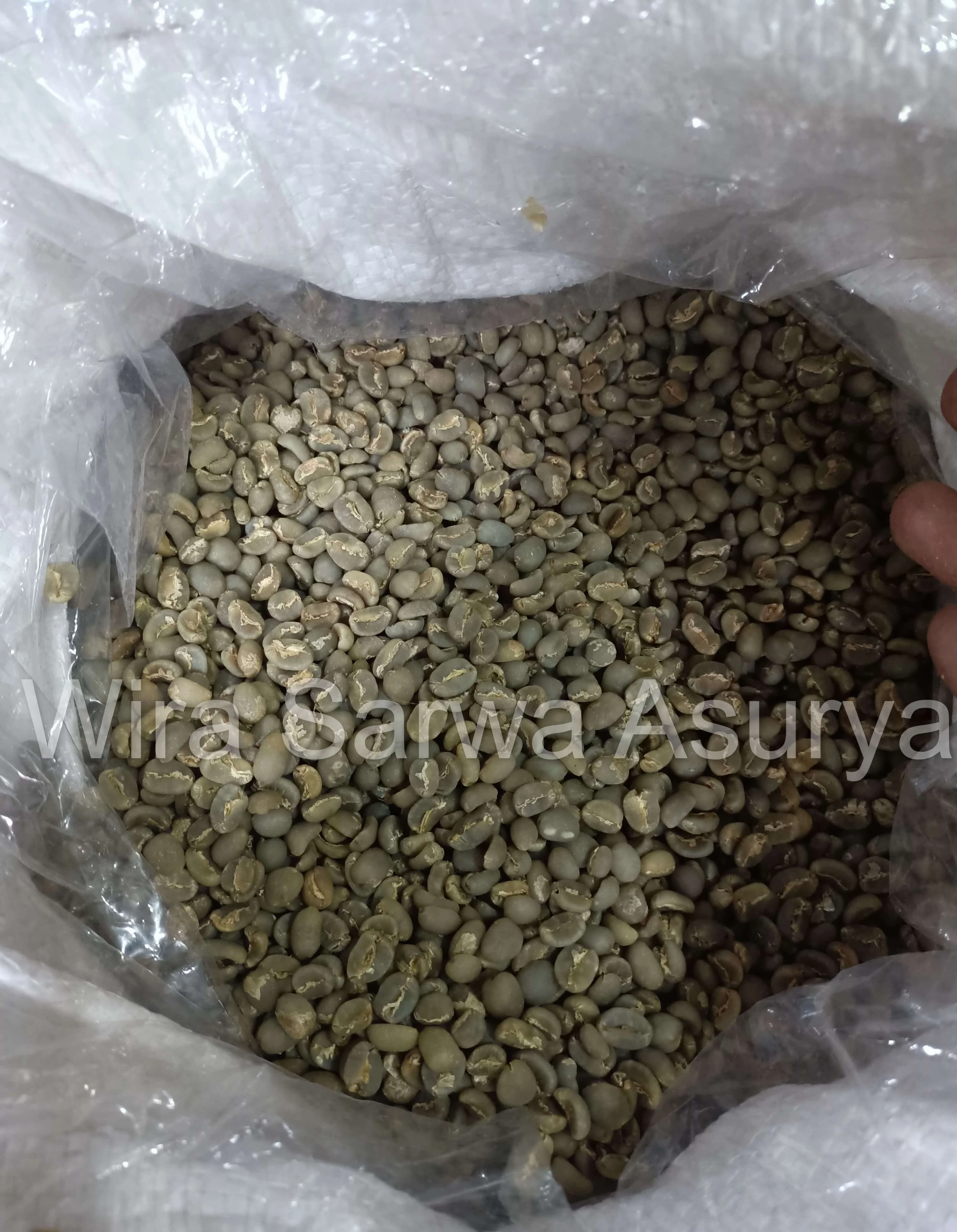 Green coffee beans with a strong lingering aroma, freshly harvested from Indonesia