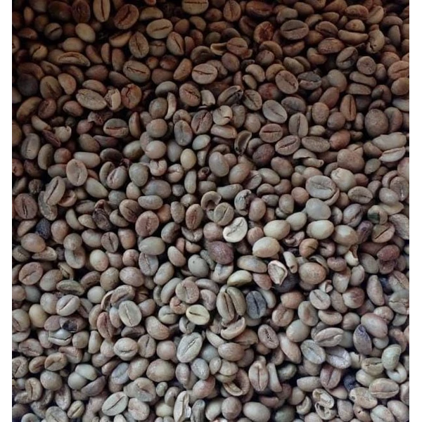 Lampung Robusta Grade 2 rich spicy full body green coffee beans ideal for espresso blends